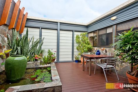 Property photo of 33 Jaguar Street Chermside West QLD 4032