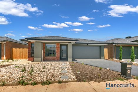Property photo of 11 Murcott Avenue Tarneit VIC 3029