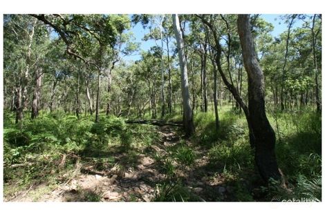Property photo of 621 Creevey Drive Captain Creek QLD 4677