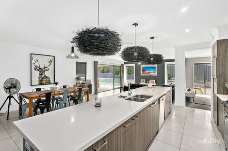 Property photo of 7 Jemima Close Flinders NSW 2529