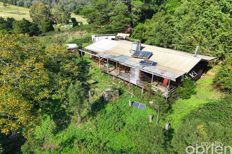 2284e Gelantipy Rd, W Tree, VIC 3885