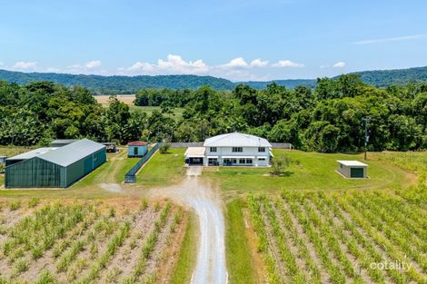 Property photo of 23 Daddona Road Miallo QLD 4873
