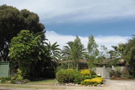 81 Casuarina Ave, Surrey Downs, SA 5126