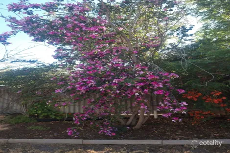 Property photo of 17 Burnside Avenue Northam WA 6401