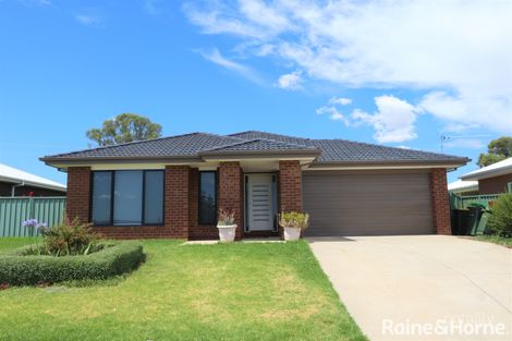 31 Tantoon Cct, Forest Hill, NSW 2651