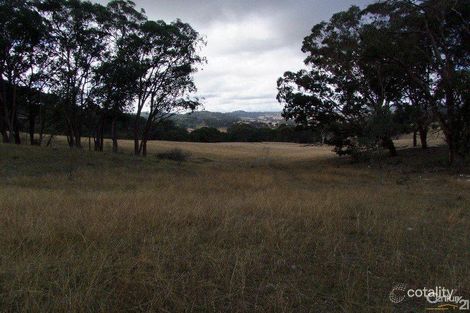 Property photo of 409 Watsons Creek Road Bendemeer NSW 2355