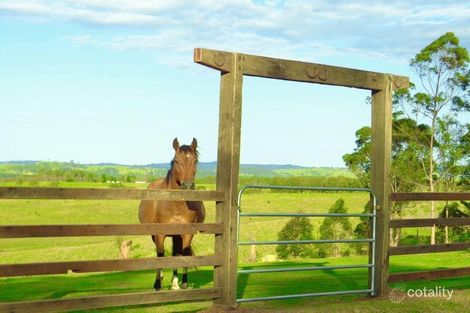 Property photo of 11699 Clarence Way Tabulam NSW 2469