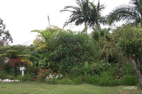 Property photo of 10 Cornucopia Street Manly West QLD 4179