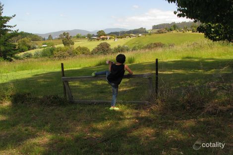 17 Rainbirds Rd, Flowerpot, TAS 7163