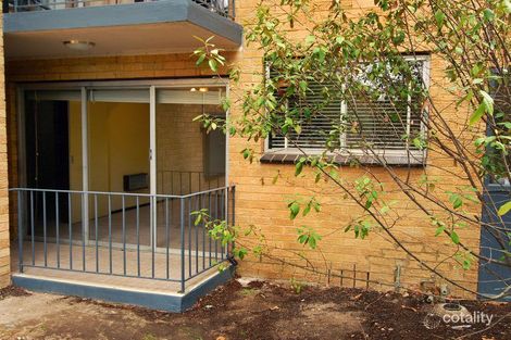 Property photo of 4/37-39 Albion Road Box Hill VIC 3128