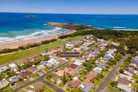 Property photo of 48 Blue Gum Avenue Sandy Beach NSW 2456