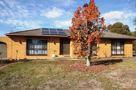 55 Adjin St, Mount Austin, NSW 2650