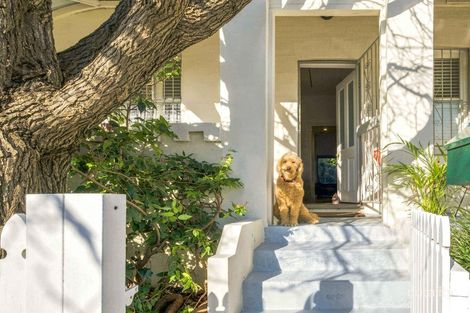 Property photo of 14 William Street Ashfield NSW 2131