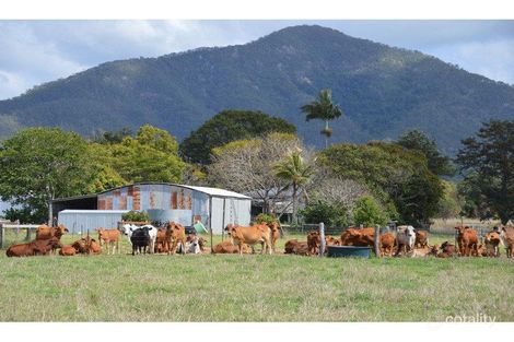 1258 Emu Park Rd, Nankin, QLD 4701