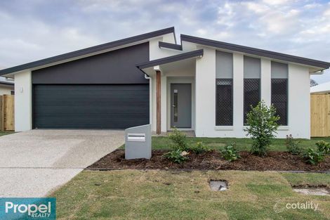 Property photo of 53 Bourke Crescent Nudgee QLD 4014