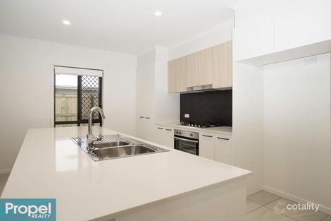 Property photo of 53 Bourke Crescent Nudgee QLD 4014