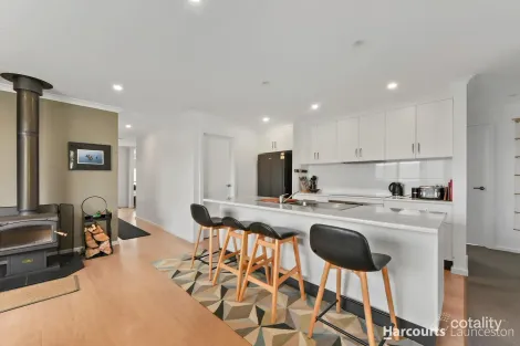 Property photo of 34 Hillary Street St Leonards TAS 7250