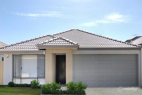 Property photo of 1/279 Albert Street Balcatta WA 6021