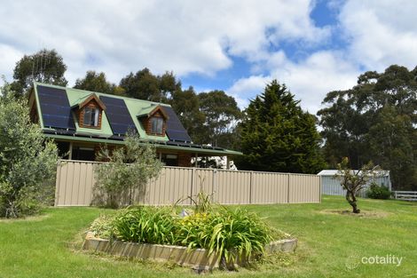Property photo of 84 Upper Scamander Road Scamander TAS 7215