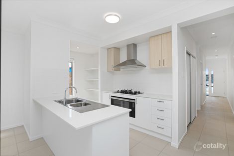 Property photo of 46 Branch Circuit Greenbank QLD 4124