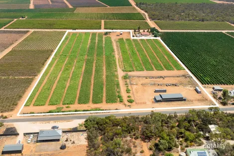 31 Rumball Rd, Winkie, SA 5343