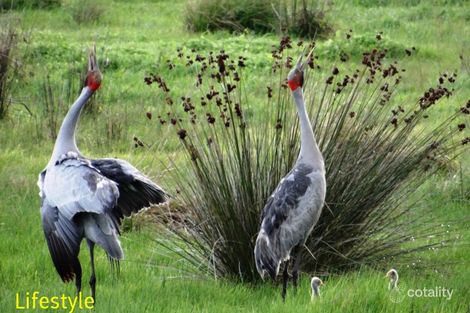 18 Brolga Dr, Gulmarrad, NSW 2463