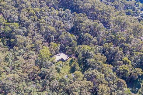 Property photo of 119 Little Nerang Road Mudgeeraba QLD 4213