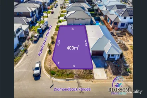 Property photo of 46 Diamondback Parade Melonba NSW 2765