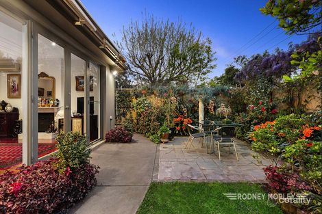 Property photo of 14 Rose Street Brighton VIC 3186