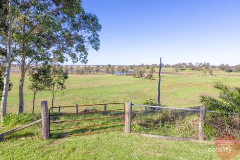 Property photo of 17 Walter Parade Black Hill NSW 2322