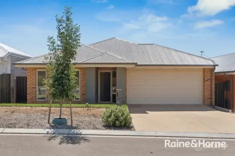 Property photo of 3 Hicks Street Evanston Gardens SA 5116