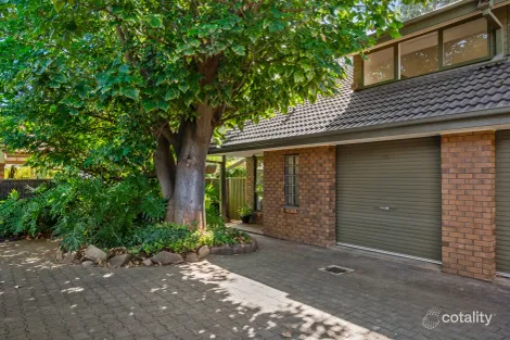 3/34 MAUD ST, UNLEY, SA 5061