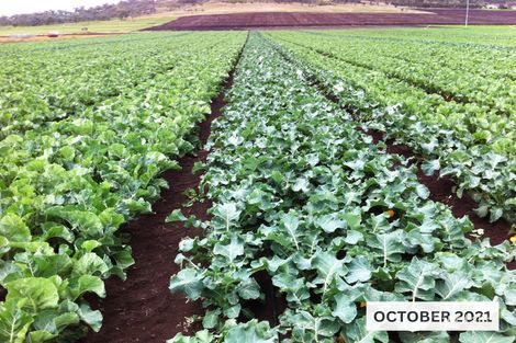 94 Sam Rd, Ascot, QLD 4359