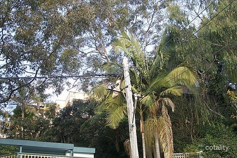 43a Pine St, Cammeray, NSW 2062