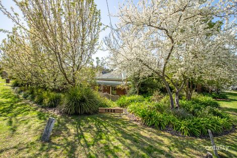 Property photo of 1446 Burrows Road Lavington NSW 2641