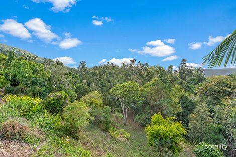 Property photo of 110 Orchid Road Cannon Valley QLD 4800