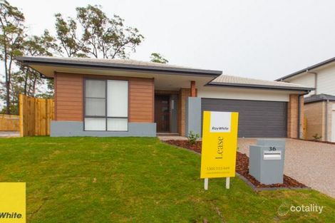 36 Tribeca Cct, Coomera, QLD 4209
