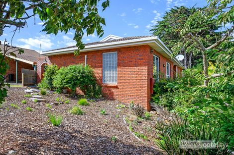 25 Mills Rd, Park Grove, TAS 7320