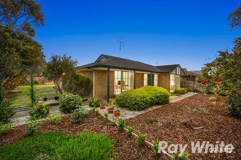 Property photo of 18 Lance Close Aspendale Gardens VIC 3195