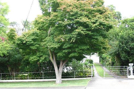 49 Lords Ave, Asquith, NSW 2077