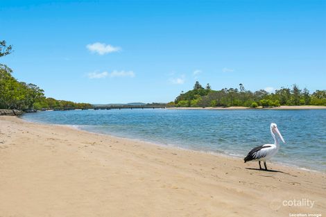 Property photo of 221 Broadwater Avenue West Maroochydore QLD 4558