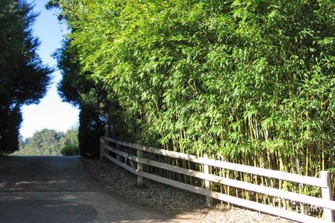 90 Picketts Valley Rd, Picketts Valley, NSW 2251