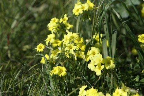 5 Polwarth Pde, Deepdale, WA 6532