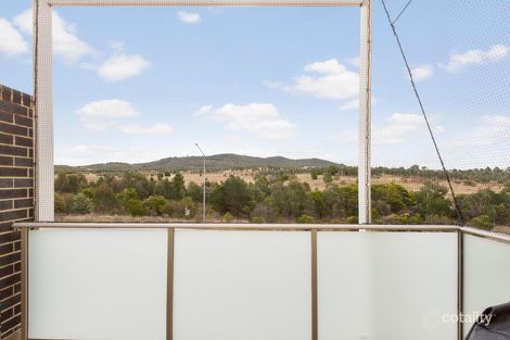 Property photo of 61/41 Philip Hodgins Street Wright ACT 2611