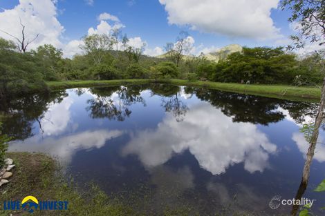 Property photo of 34 Thunderbolt Drive Oak Valley QLD 4811