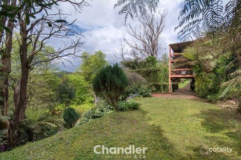 Property photo of 34 Hunter Street Monbulk VIC 3793