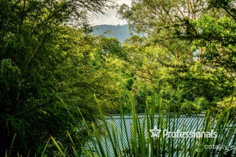Property photo of 45 Riverside Drive Warburton VIC 3799