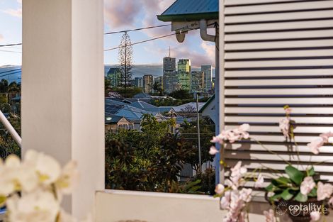 Property photo of 65 Lindsay Street Hawthorne QLD 4171