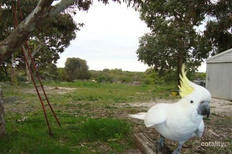 Property photo of LOT 414 Bog Lane Nora Creina SA 5276