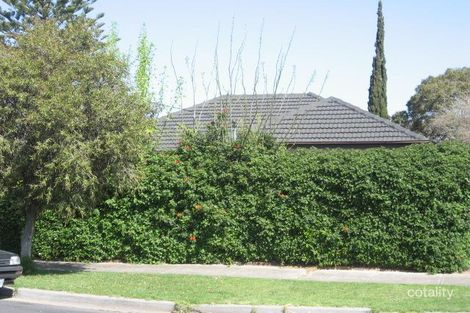 6 Beilby St, Moorabbin, VIC 3189